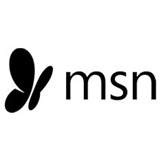 msn logo